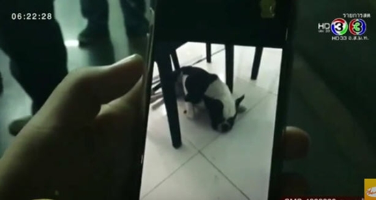 นุ่น สินิทธา เพื่อนบ้าน นุ่น สินิทธา เพื่อนบ้าน