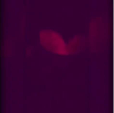 วิธีตรวจนมปลอม วิธีตรวจนมปลอม