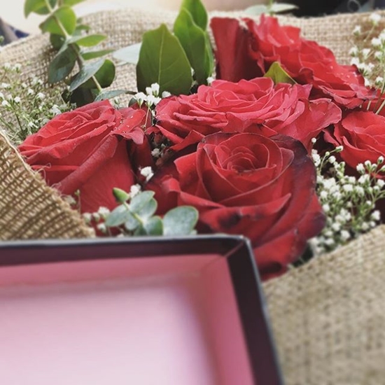 เชียร์ ฑิฆัมพร เชียร์ ฑิฆัมพร