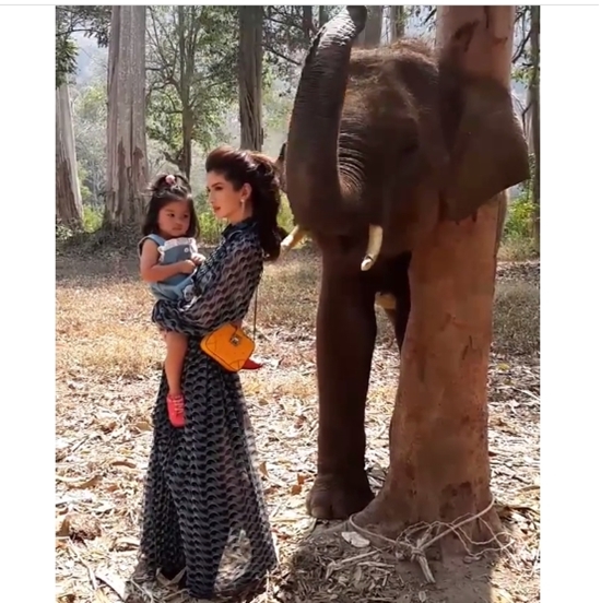 น้องมะลิ พาขวัญ น้องมะลิ พาขวัญ