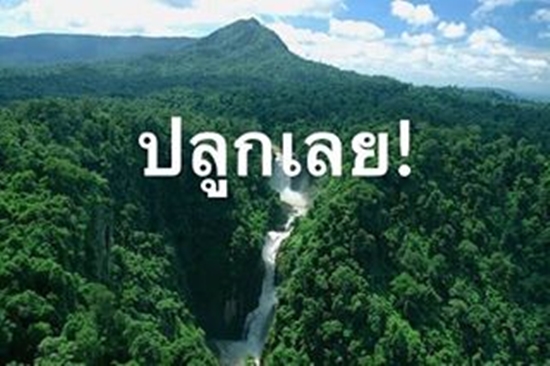 โจอี้ บอย ปลูกเลย โจอี้ บอย ปลูกเลย