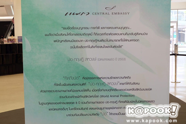 ปอ ทฤษฎี ปอ ทฤษฎี