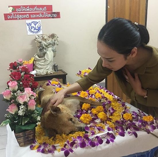 อั้ม พัชราภา อั้ม พัชราภา