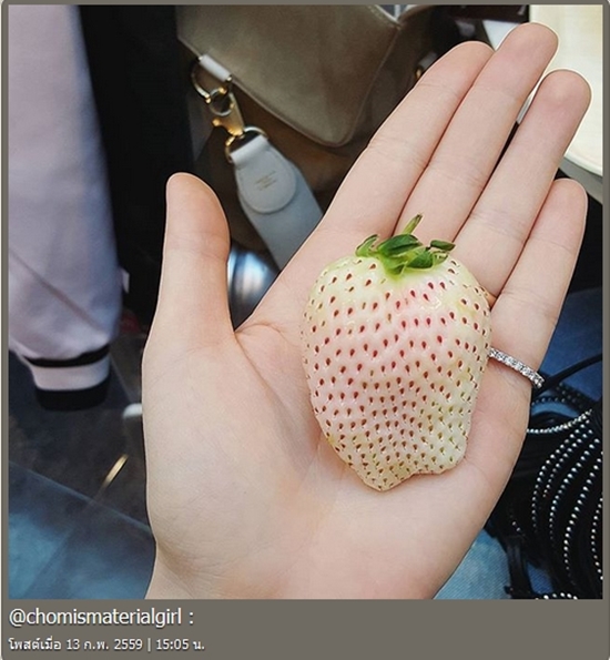 ชมพู่ อารยา ชมพู่ อารยา