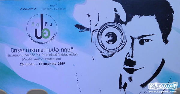 ปอ ทฤษฎี ปอ ทฤษฎี