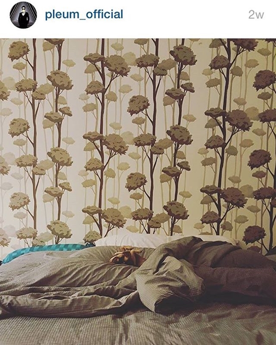 ทับทิม ปลื้ม ทับทิม ปลื้ม