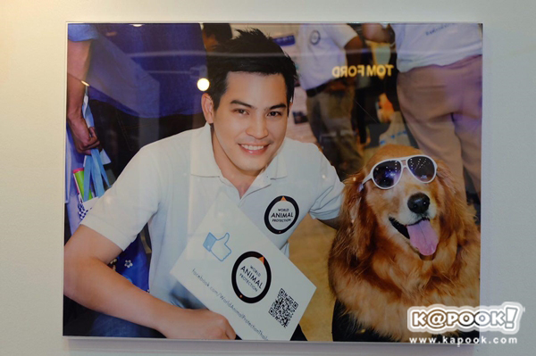 ปอ ทฤษฎี ปอ ทฤษฎี