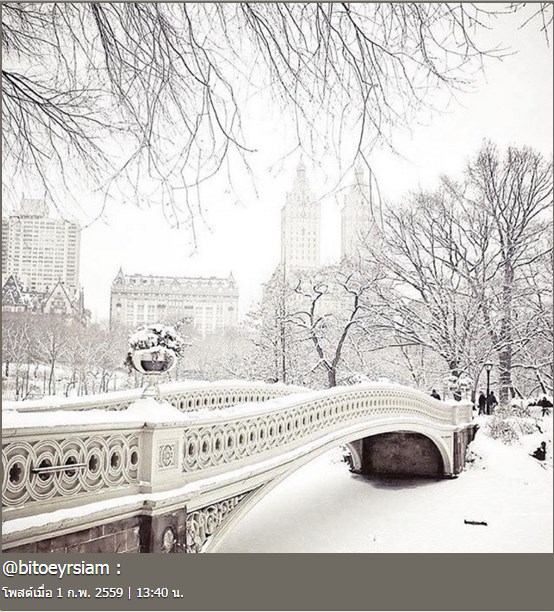 ใบเตย อาร์สยาม