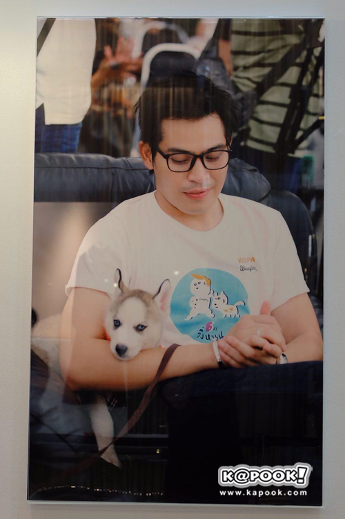 ปอ ทฤษฎี ปอ ทฤษฎี