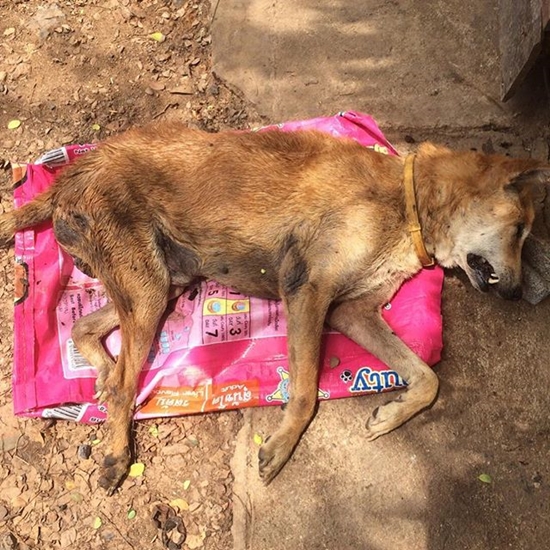 อั้ม พัชราภา อั้ม พัชราภา