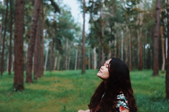 ครอบครัวเปล่งพานิช ครอบครัวเปล่งพานิช