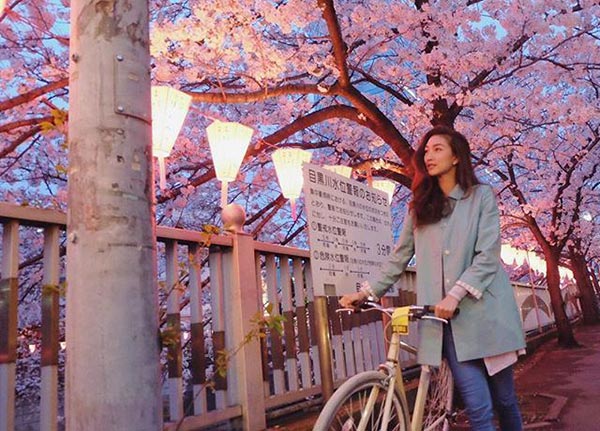 แพนเค้ก เขมนิจ แพนเค้ก เขมนิจ