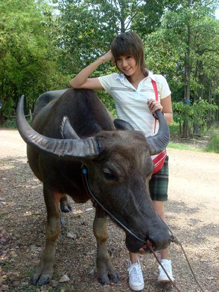 แพร วรภร แพร วรภร