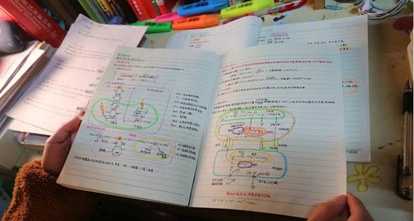 นักศึกษาจีน นักศึกษาจีน