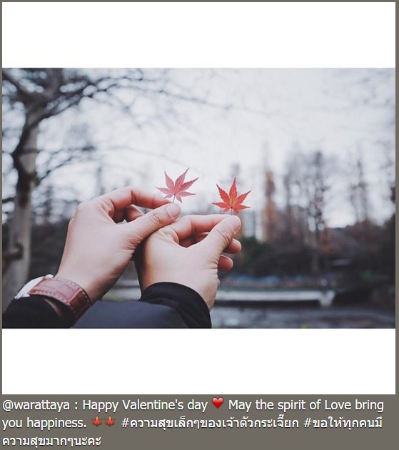 ดาราโพสต์ วันวาเลนไทน์ ดาราโพสต์ วันวาเลนไทน์