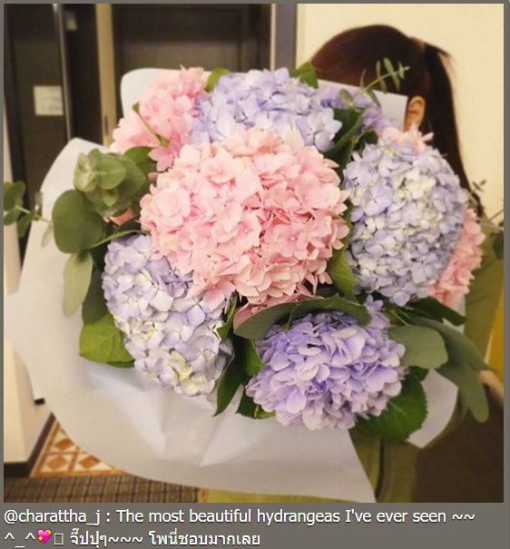 ดาราโพสต์ วันวาเลนไทน์ ดาราโพสต์ วันวาเลนไทน์