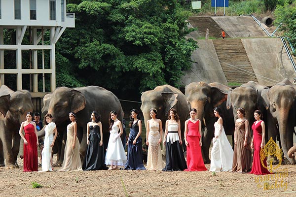 นางสาวไทย 2559 นางสาวไทย 2559