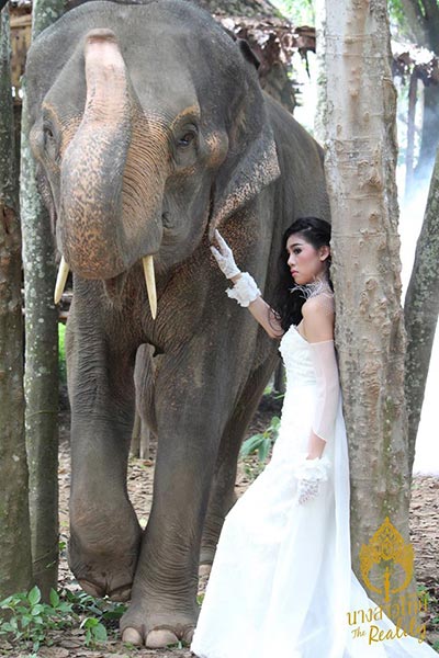 นางสาวไทย 2559 นางสาวไทย 2559