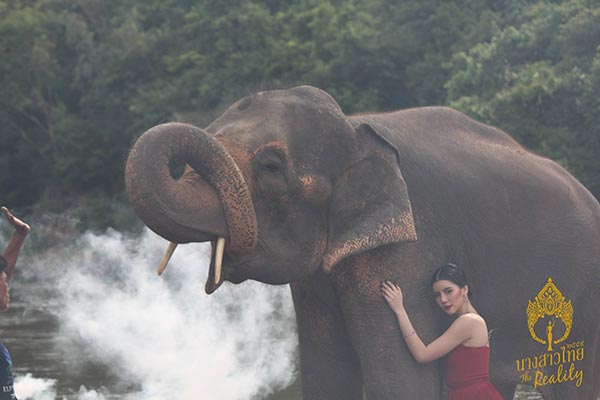 นางสาวไทย 2559 นางสาวไทย 2559