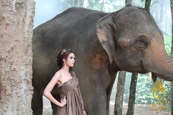 นางสาวไทย 2559 นางสาวไทย 2559