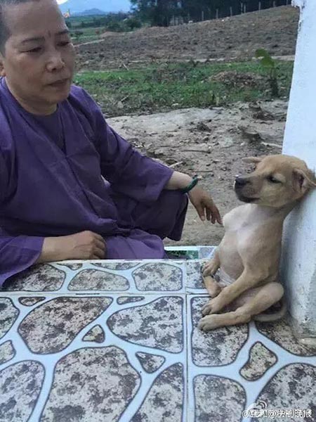 ลูกหมากอดกัน ลูกหมากอดกัน