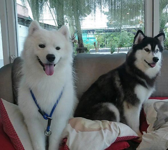 บ้านบุ๋ม ปนัดดา บ้านบุ๋ม ปนัดดา