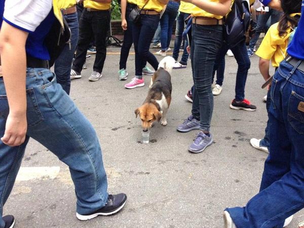 พี่เตี้ย มช. พี่เตี้ย มช.