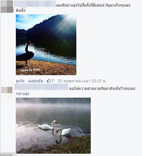 เปิดภาพ ปางอุ๋ง แหล่งท่องเที่ยวดังแม่ฮ่องสอน ในวันแล้งน้ำ แห้งเหือดชวนใจหาย เปิดภาพ ปางอุ๋ง แหล่งท่องเที่ยวดังแม่ฮ่องสอน ในวันแล้งน้ำ แห้งเหือดชวนใจหาย