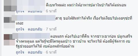 โจอี้ บอย วอนผู้รู้อย่ามองโปรเจคท์ปลูกป่าว่า ฟุ้งซ่าน ขอให้มาช่วยกันเพื่อชาติ โจอี้ บอย วอนผู้รู้อย่ามองโปรเจคท์ปลูกป่าว่า ฟุ้งซ่าน ขอให้มาช่วยกันเพื่อชาติ