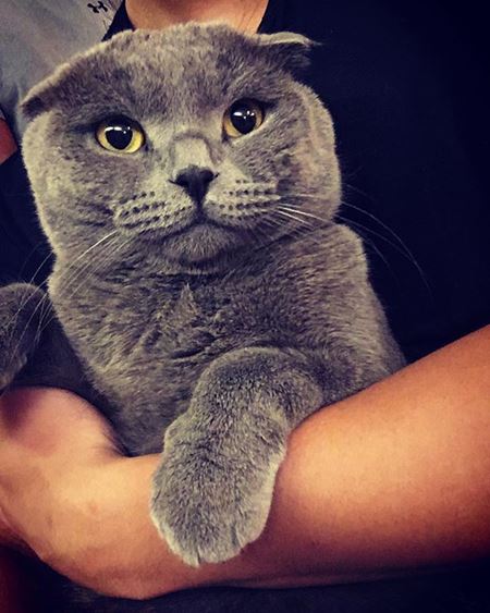 อับดุล มาทีน เจ้าชายบรูไน กับมุมรักสัตว์สุดอบอุ่น ทำสาว ๆ ใจละลายเป็นแถว อับดุล มาทีน เจ้าชายบรูไน กับมุมรักสัตว์สุดอบอุ่น ทำสาว ๆ ใจละลายเป็นแถว