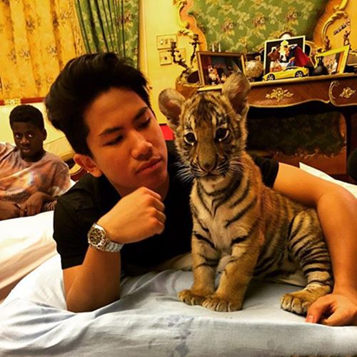 อับดุล มาทีน เจ้าชายบรูไน กับมุมรักสัตว์สุดอบอุ่น ทำสาว ๆ ใจละลายเป็นแถว อับดุล มาทีน เจ้าชายบรูไน กับมุมรักสัตว์สุดอบอุ่น ทำสาว ๆ ใจละลายเป็นแถว