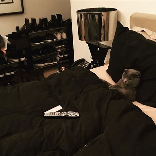 อับดุล มาทีน เจ้าชายบรูไน กับมุมรักสัตว์สุดอบอุ่น ทำสาว ๆ ใจละลายเป็นแถว อับดุล มาทีน เจ้าชายบรูไน กับมุมรักสัตว์สุดอบอุ่น ทำสาว ๆ ใจละลายเป็นแถว