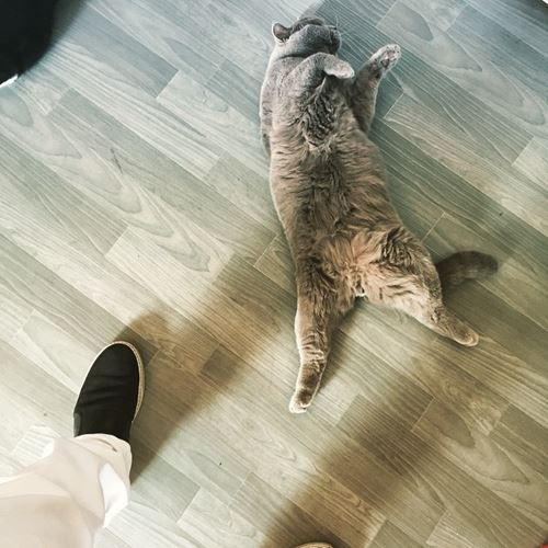 อับดุล มาทีน เจ้าชายบรูไน กับมุมรักสัตว์สุดอบอุ่น ทำสาว ๆ ใจละลายเป็นแถว อับดุล มาทีน เจ้าชายบรูไน กับมุมรักสัตว์สุดอบอุ่น ทำสาว ๆ ใจละลายเป็นแถว