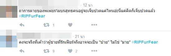 มาย ภาคภูมิ เปิดใจวินาทีรถชน-ชาวเน็ตตั้งข้อสงสัยเพียบ ขัดกับคลิปแบบหนังคนละม้วน มาย ภาคภูมิ เปิดใจวินาทีรถชน-ชาวเน็ตตั้งข้อสงสัยเพียบ ขัดกับคลิปแบบหนังคนละม้วนมาย ภาคภูมิ เปิดใจวินาทีรถชน-ชาวเน็ตตั้งข้อสงสัยเพียบ ขัดกับคลิปแบบหนังคนละม้วน