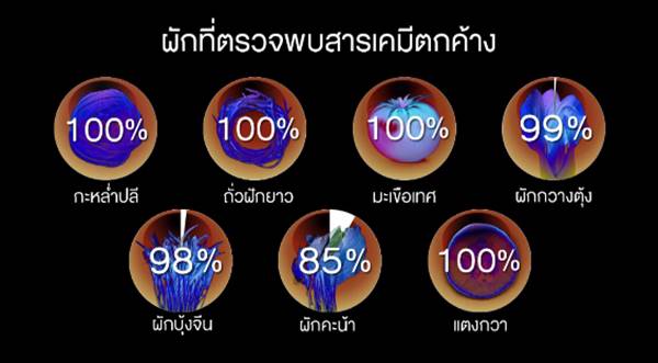 อึ้ง !! ผัก-ผลไม้ในไทยพบสารปนเปื้อนเกือบ 100% แนะวิธีล้างผักให้ปลอดภัย อึ้ง !! ผัก-ผลไม้ในไทยพบสารปนเปื้อนเกือบ 100% แนะวิธีล้างผักให้ปลอดภัย