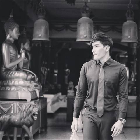 10 ภาพ สิงโต เดอะสตาร์ 10 ภาพ สิงโต เดอะสตาร์