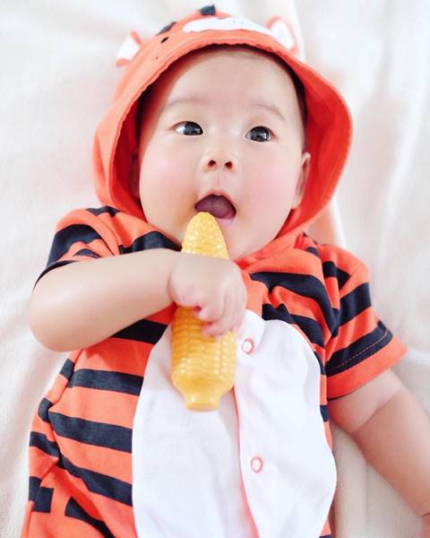มาดูความแสบของ น้องเป่าเปา ทำเอาคุณแม่กุ๊บกิ๊บ ต้องรีบอุ้มไปหาหมอ !! มาดูความแสบของ น้องเป่าเปา ทำเอาคุณแม่กุ๊บกิ๊บ ต้องรีบอุ้มไปหาหมอ !!มาดูความแสบของ น้องเป่าเปา ทำเอาคุณแม่กุ๊บกิ๊บ ต้องรีบอุ้มไปหาหมอ !!
