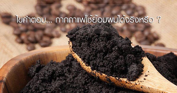 กากกาแฟย้อมผม กากกาแฟย้อมผม