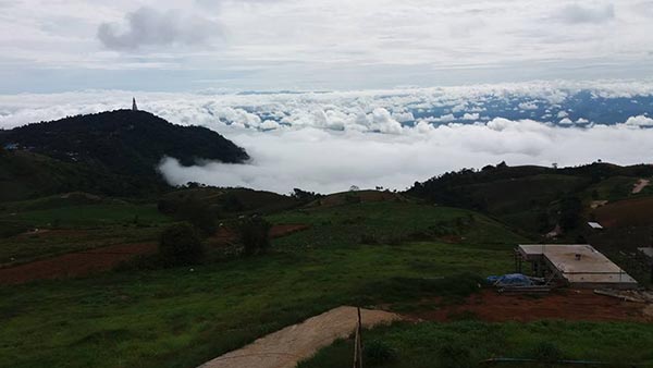 ที่พักภูทับเบิก ไร่ทิวตะวัน ภูทับเบิก