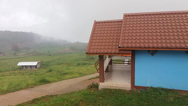 ที่พักภูทับเบิก ไร่ทิวตะวัน ภูทับเบิก