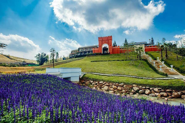The Blue Sky Garden The Blue Sky Garden