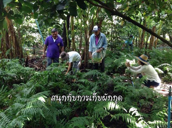 ที่เที่ยวปิดเทอม ที่เที่ยวปิดเทอม
