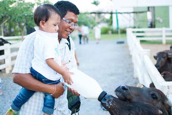 มินิมูร่าห์ฟาร์ม มินิมูร่าห์ฟาร์ม