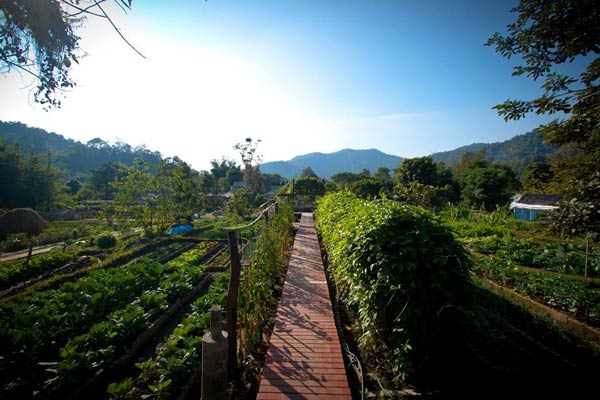 เที่ยวฟาร์ม เที่ยวฟาร์ม