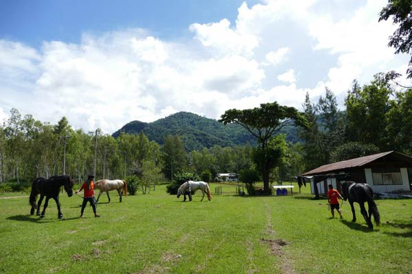 เที่ยวฟาร์ม เที่ยวฟาร์ม