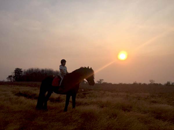 เที่ยวฟาร์ม เที่ยวฟาร์ม