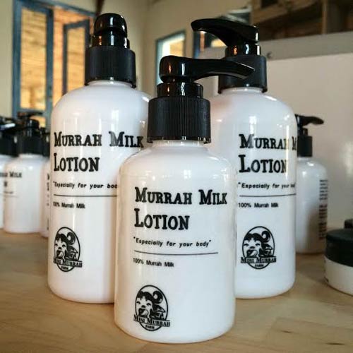 มินิมูร่าห์ฟาร์ม มินิมูร่าห์ฟาร์ม