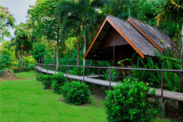 ที่พักเขาสก ที่พักเขาสก