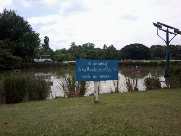 สวนจิตรลดา สวนจิตรลดา