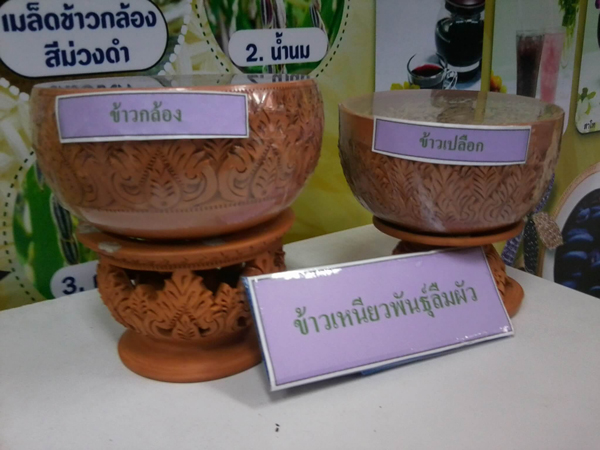 สวนจิตรลดา สวนจิตรลดา